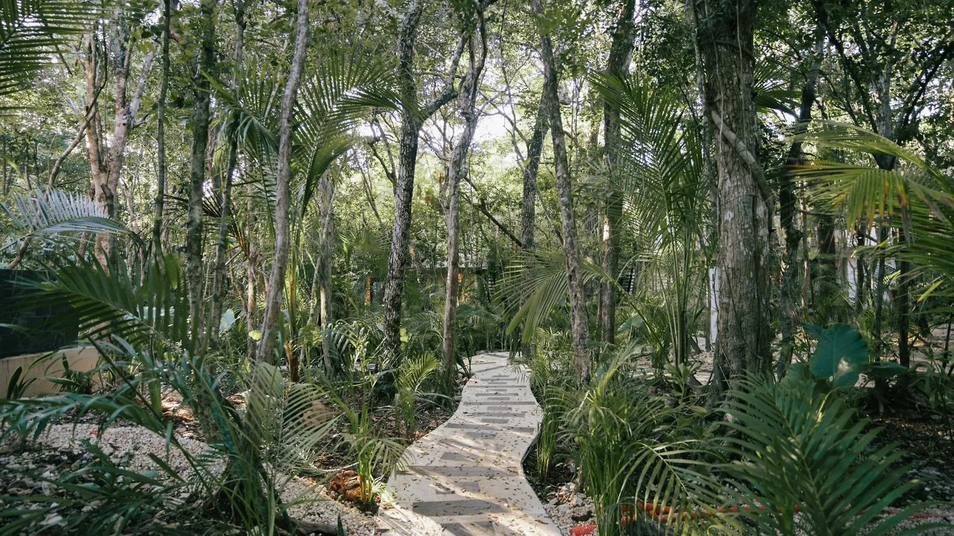 別荘 Tulum Jungle Villa Aire Chemuyil メキシコ